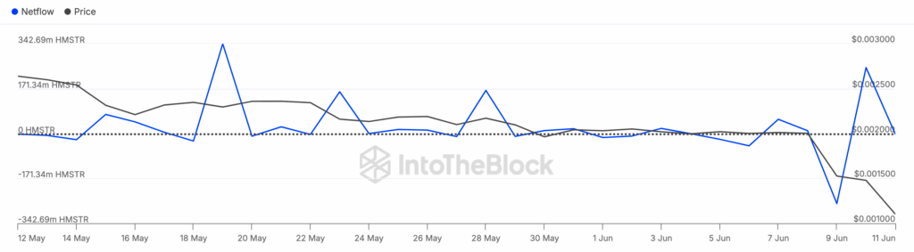 HMSTR Large Holders Netflow | Credit: IntoTheBlock
