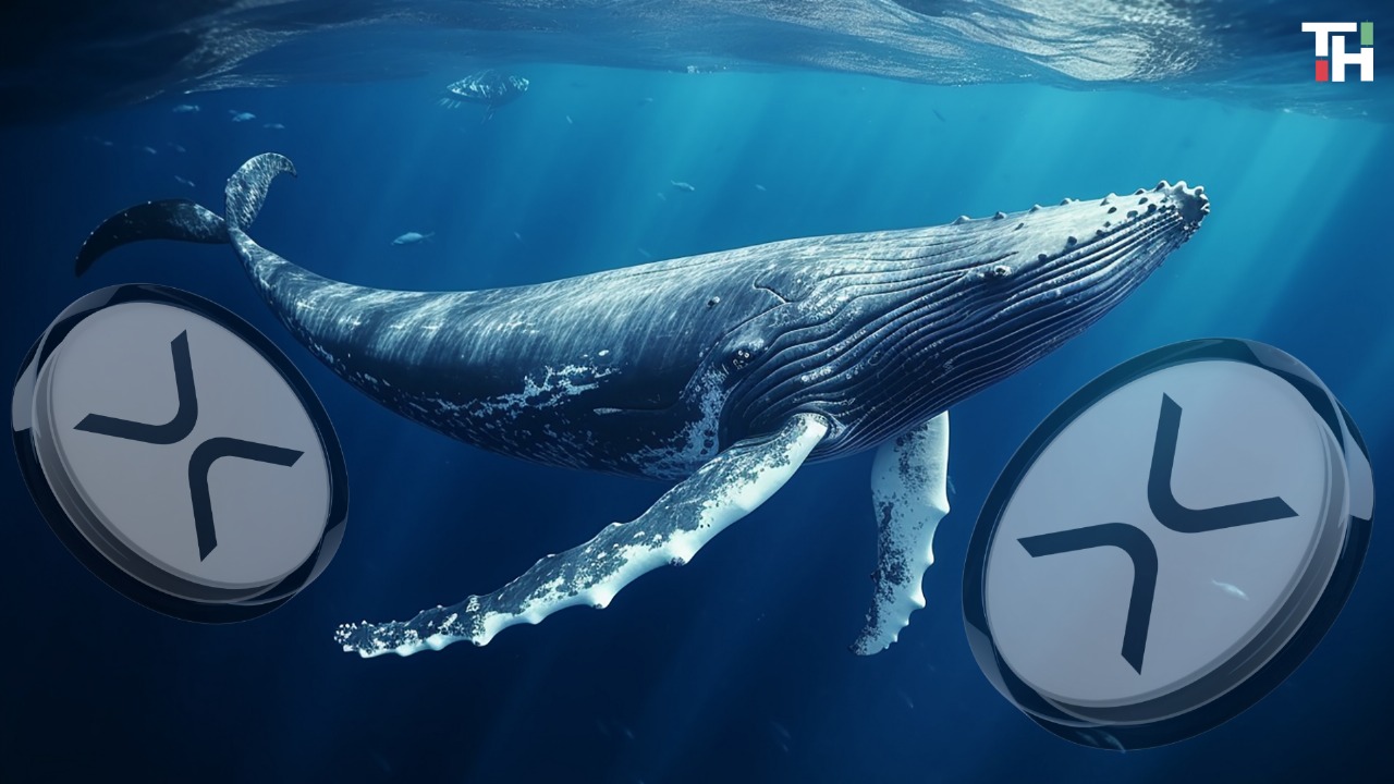 XRP Dips as $9B Whale Sell-Off Looms