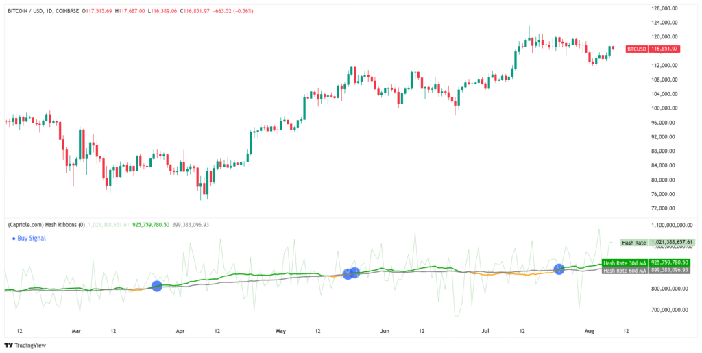 Bitcoin Hash Ribbons data. Source: Capriole Investments

