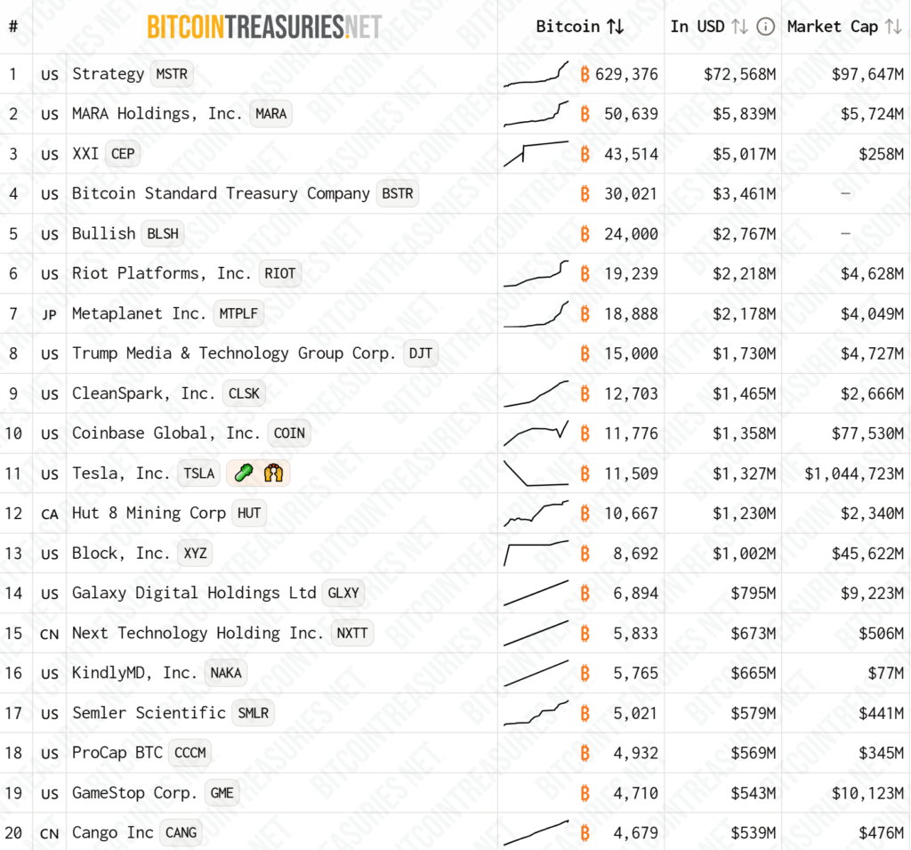 Top 10 Bitocin treasury firms. Source: BitcoinTreasuries.NET
