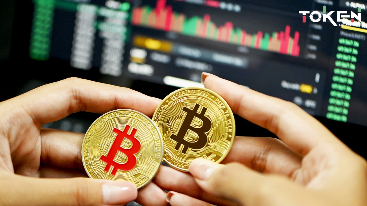 Crypto Market Rises as Bitcoin Holds Strong and CRO Leads Rally