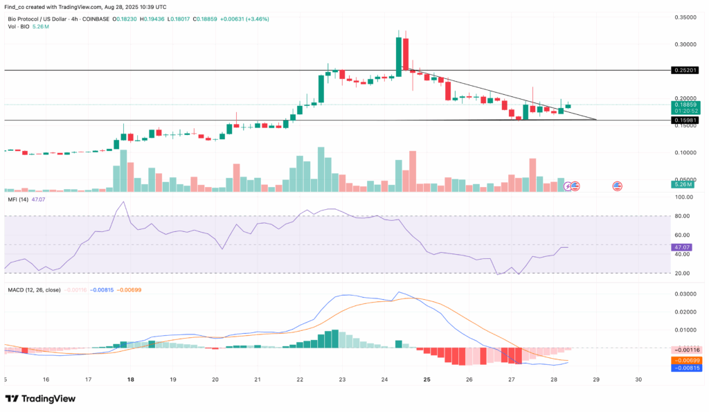 BIO/USD 4-Hour Chart | Credit: TradingView