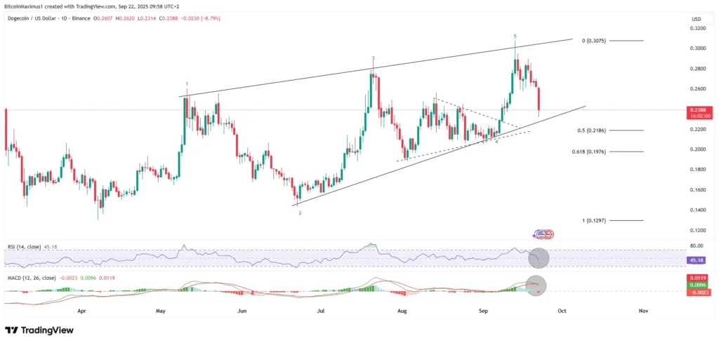 DOGE/USDT Daily Chart | Credit: Valdrin Tahiri/TradingView
