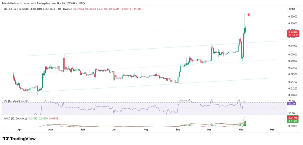 JELLYJELLY/USDT Daily Chart | Credit: Valdrin Tahiri/TradingView
