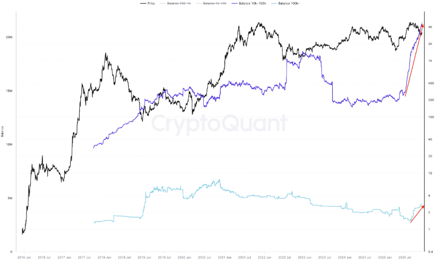 ETH Balance by Holder Value. Source: CryptoQuant
